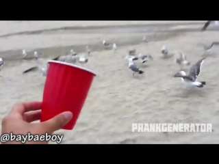video развратные студентки вот это фокус прячет платок и раздевается до гола sex