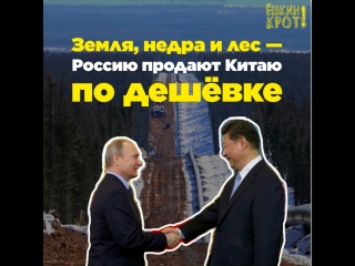 video земля недра и лес россию продают китаю по дешёе sex