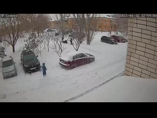 video нападение бродячих молодые на детей 16 января 2021 года в знаменске sex