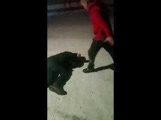 video в омской области депутат едрос жестоко избил мужчину sex