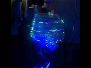 video キモい社会の底辺の俺と接吻塗れの妊娠懇願性行為 vid 137891104 002934 272 mp4 sex