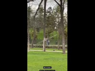 video в краснодаре на видео попала перелезающая через забор в японский сад семья sex