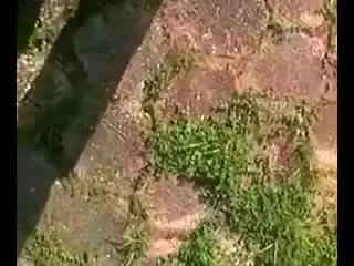 video cute ngintip anak smp sex
