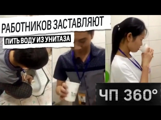 video чп 360 дайджест 3 августа сотрудников китайской корпорации заставляют пить из унитаза sex