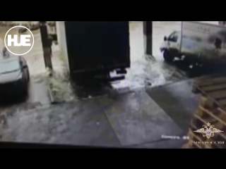 video в оренбурге попались грабители которые сорвали куш в 65 миллионов с инкассаторов sex