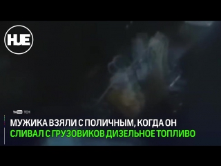 video в днепропетровске дальнобойщики поймали вора и подвесили его за ноги на дереве sex