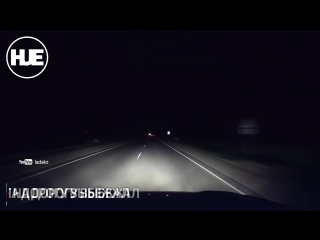 video на казахстанской трассе водитель сбил невесть откуда взявшегося жеребенка sex