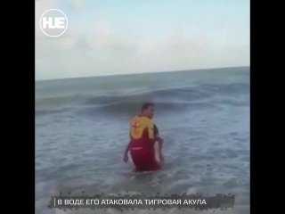video в бразилии погиб мальчик которому акула откусила пенис sex