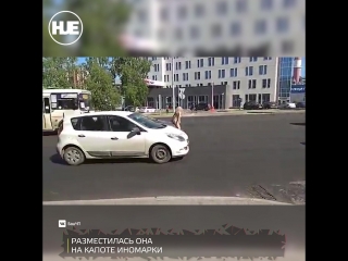 video в уфе голая девушка загорала на капоте автомобиля sex