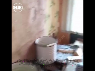 video в ленинградской области 21 летнего парня молодые и расчленили труп sex