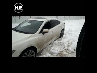 video рядом с нижегородской школой произошла стрельба sex