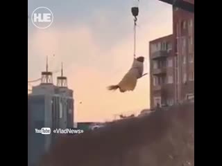 video жительница владивостока прокатилась на метле sex