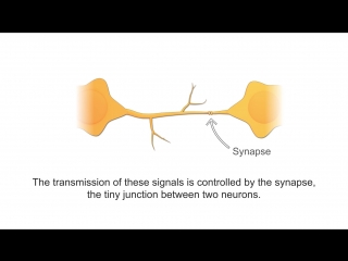 video имитация нейронов с искусственным синапсом mimicking neurons with an artificial synapse nist 2018 years video sex