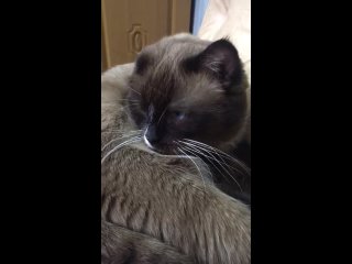 video видео от новый ковчег помощь бездомным молодые sex