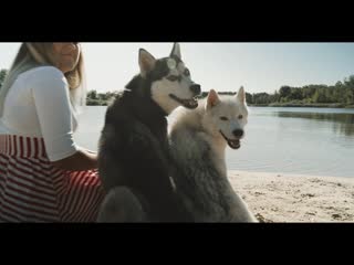 video clip kennel rey norte sex
