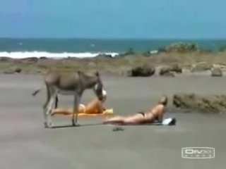 video осторожно позордве школьницы разделись на вебку 18 sex