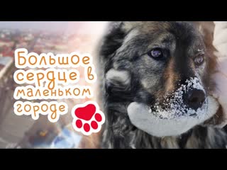 video документальный фильм про бездомных молодые большое сердце в маленьком городе hd 2020 sex