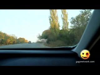 video школьница с косичками отложила тетрадки и решила разработать попочку sex