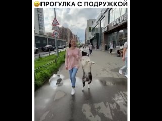 video подружка обалденная красотки обе но мохнатенькая просто великолепна sex