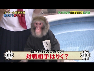 video mecha ike monkeys school trip mechaike onsen オサール高等学校 抜き打ち修学旅行 めちゃイケ温泉 sex