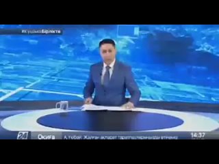 video в казахстане рядом с границей рф задержали автомобиль с армянскими номерами sex