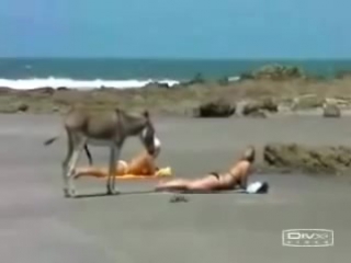 video официальный автомобиль пятой вписки блеать sex