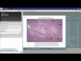 video 57th lecture kaplan step 1 ca gross anatomy part 3 white august 15 2015 sex