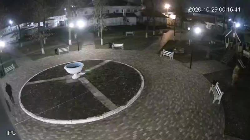 video puasy video 13 1029 0016 3 flv sex
