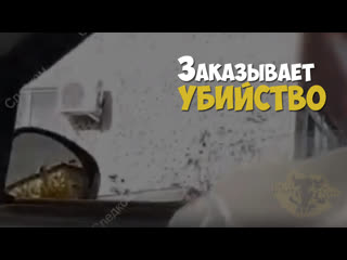 video женщина пытается заказать молодые мужа sex