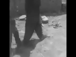 video отец застрелил дочь за посрамление чести семьи сирия sex