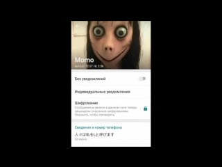 video позвонил момо по whatsapp momo до слез страшная переписка и звонок sex