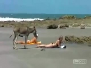 video розовая страсть в цвете межрассовых отношений sex