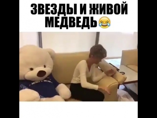 video нормальная человеческая реакция достали со своими звёздами sex