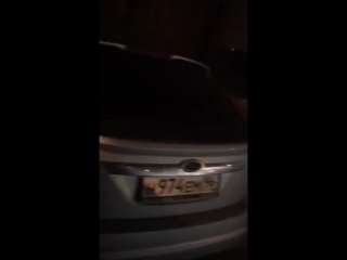video по уральскому городу бегает дикая рысь sex