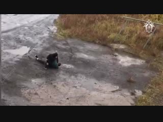video компания сняла на видео молодые своего товарища в магаданской области sex