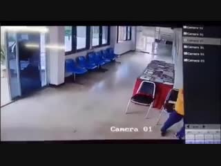 video рикки тикки тави ты где в таиланде змея заползла в зал ожидания и напала на сидевшего там мужика sex