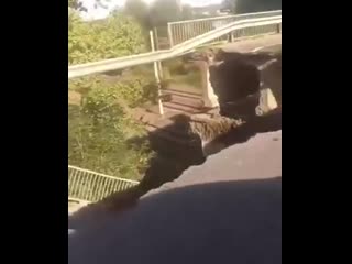 video несмотря на частичное обрушение моста в харькове по нему продолжают ездить автомобили sex