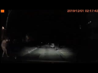 video голая девушка легла на дорогу возле станции метро sex