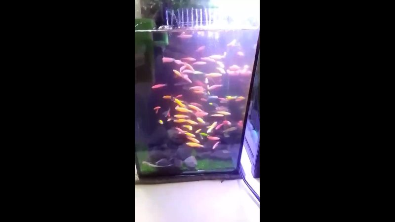 video rubbing vid 20210831 095843 mp4 sex