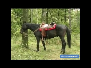 video конная прогулка по лесу закончилась суровой долбежкой sex