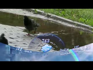 video fordac vid 157130423 073203 180 mp4 sex