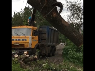 video спиливание удаление деревьев кустарника расчистка участков покос травы и вывоз любой сложности 8 920 211 76 22 sex