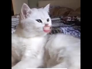 video а всё уже а надо было раньше просить sex