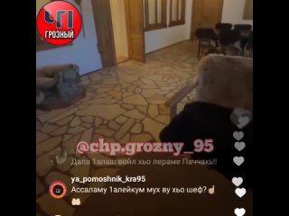 video очередные извинения перед кадыровым от парня с ником мамкатрахер sex