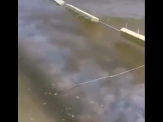 video на побережье азовского моря медузий апокалипсис sex