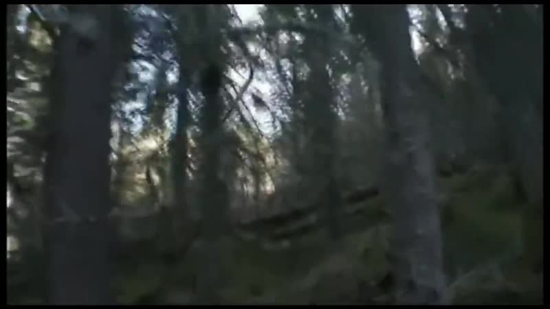 video серёга охотник жутко страшная ночь в засаде sex