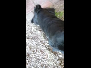 video of mov 0088 mp4 sex