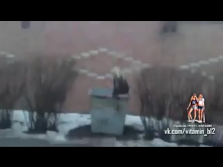 video выкинул девушку в мусорный бак за враньё и измену теги домашнее жёсткое видео измена в мусорку не порно sex