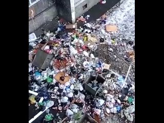 video exece vid 20210410 004335 451 mp4 sex