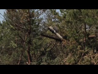 video артиллеристы цво разгромили позиции и боевую технику националистов в зоне сво mov sex
